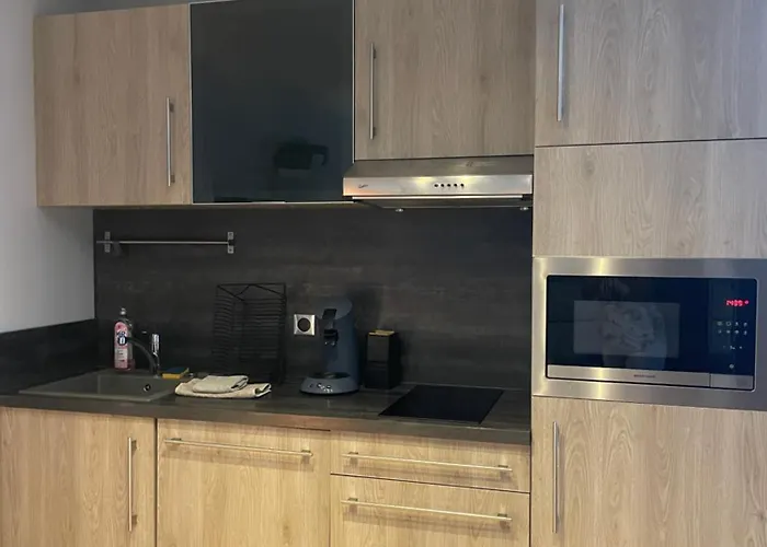 Apartamento Indépendant Proche Centre Et Parking *